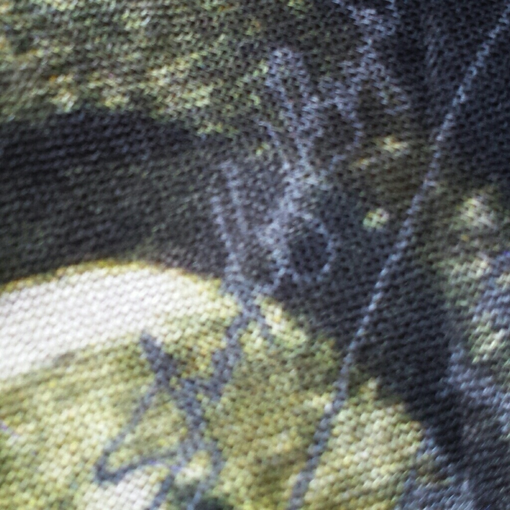 Oolala: Luxuriously soft Fleur-de-lis Modal scarf - Picture 7 of 8